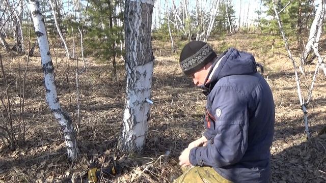 Лесные краски