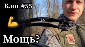 Возможна ли охота на копытных с арбалетом с детскими плечами 43кгс? Проверим!