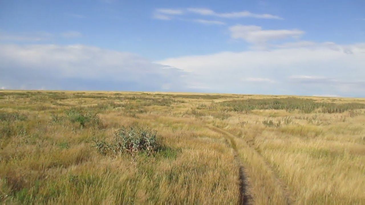 Опустевшая деревня Ханеневка, Татищевский район