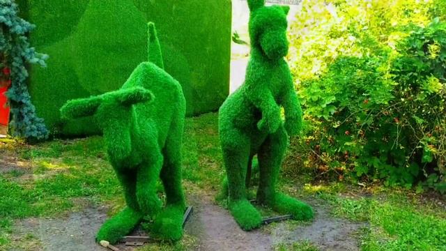 Выставка цветов 2021. Парк Певчее поле. Киев. Экспозиция ко дню Независимости. смотреть онлайн