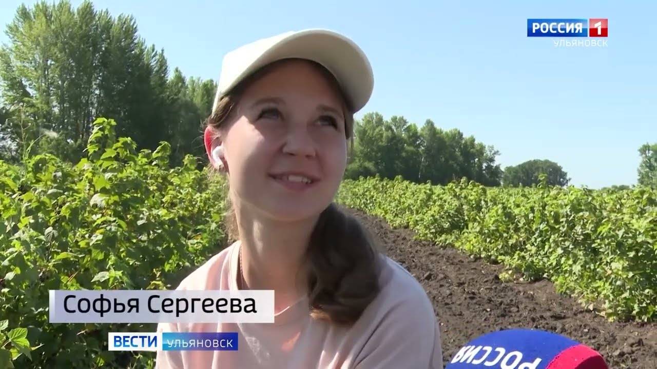 Как организуют общественные работы в Ульяновской области смотреть онлайн