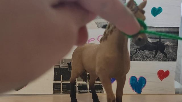 урок на верëвочный недоуздок для лошадей шляйх