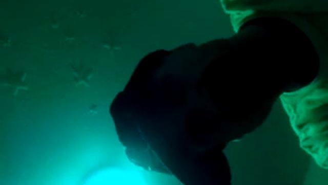 Hollywood pronoghraphy смотреть онлайн