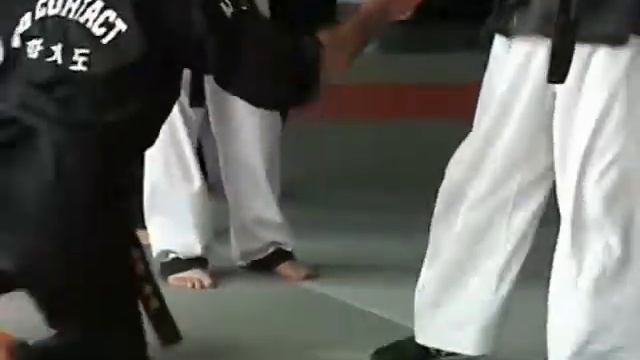 HAPKIMUDO - Stage Grand Maître Lee Eun Jong - Montpellier смотреть онлайн