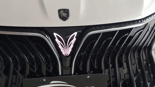 ALL NEW 2022 Dongfeng FORTHING Yacht Walkaround смотреть онлайн