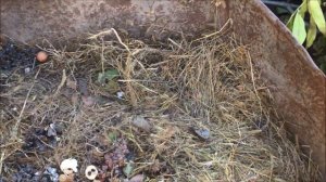 КАК ПРИГОТОВИТЬ КОМПОСТ / КОМПОСТНАЯ ЯМА ИЛИ КОМПОСТНАЯ КУЧА / КОМПОСТ СВОИМИ РУКАМИ НА ДАЧЕ