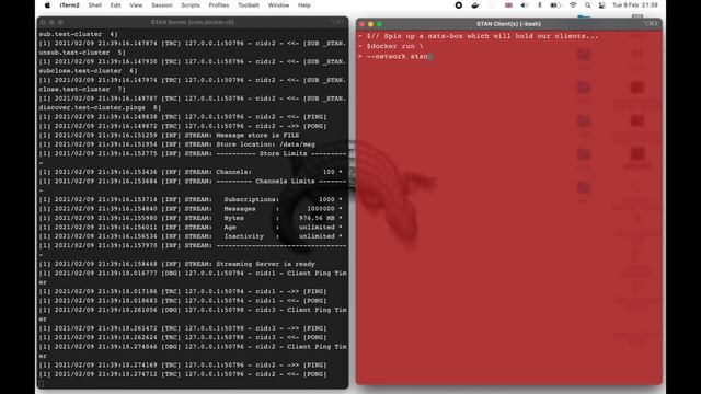 NATS Streaming (STAN) Demo смотреть онлайн