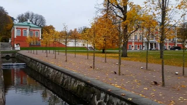 #7 Декретный влог: После карантина, золотая осень, покупки, кафе смотреть онлайн