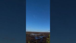 Охота на гуся. Шикарный налёт.