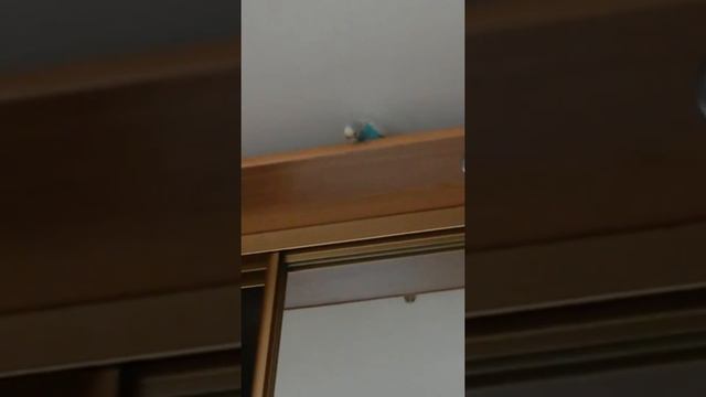 Захар как смешно ... (это сорказм смотреть онлайн