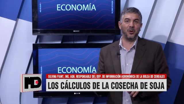 Mensaje Directo: Silvina Fiant - Los cálculos de la cosecha de soja смотреть онлайн