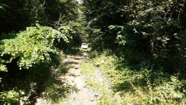 Окрестности Планческой щели 2019 смотреть онлайн