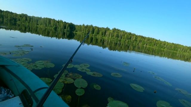 случай на Синявинском озере на галимой рыбалке смотреть онлайн