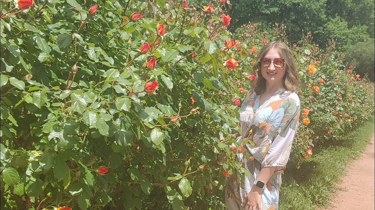 Кисловодск, Долина роз, 2 июня 2024. смотреть онлайн