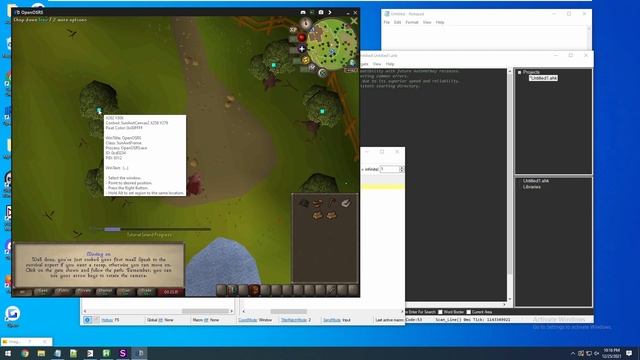 OSRS AHK Botting Tutorial - Software, Plugins, Mouse Movement