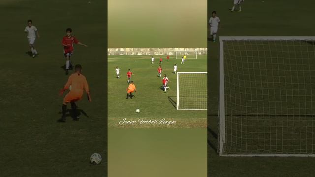 Грубая ошибка вратаря