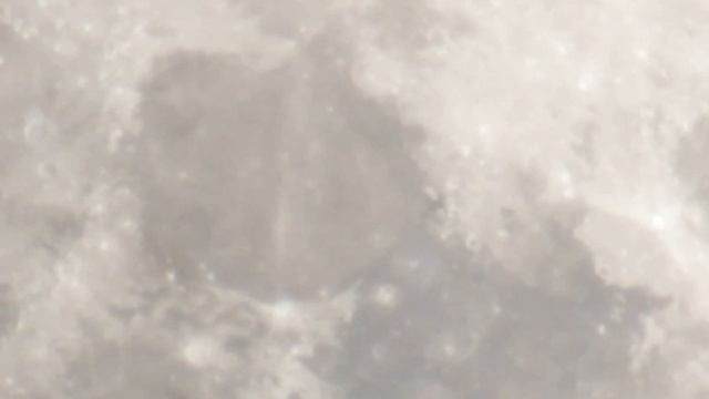 Летучая мыш через луну moon Stranger bird 2011 смотреть онлайн