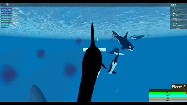 Cenozoic Survival (ROBLOX) - Orcas vs Megalodon смотреть онлайн