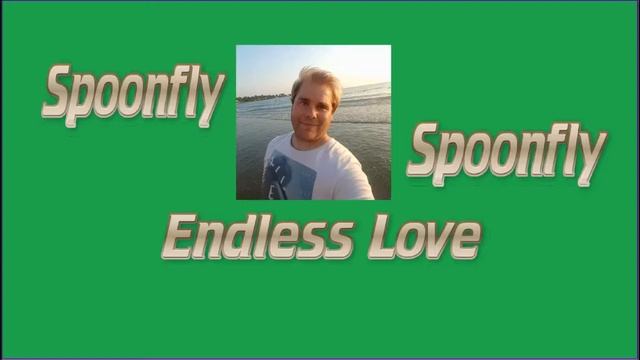 Spoonfly Endless Love смотреть онлайн