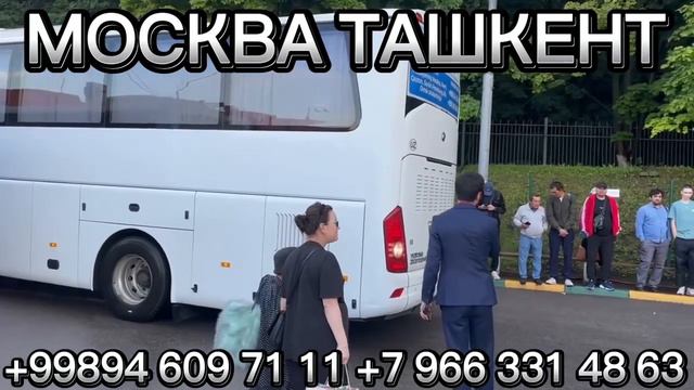 Санкт-Петербург автобус ￼Ташкент Москва Ташкент автобус смотреть онлайн