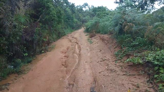 Другая Бразилия. Пешком в горы за Пафиком. Живут ли люди на горах в Бразилии. смотреть онлайн