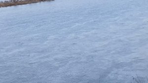 Почему река Кама называется Камой? Рассказ Удмуртского Экскурсовода.