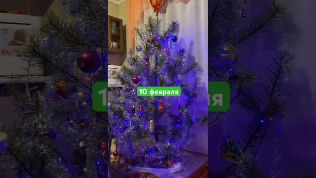 КИТАЙСКИЙ НОВЫЙ ГОД 🇨🇳 А вы разобрали ёлку? #10февраля смотреть онлайн
