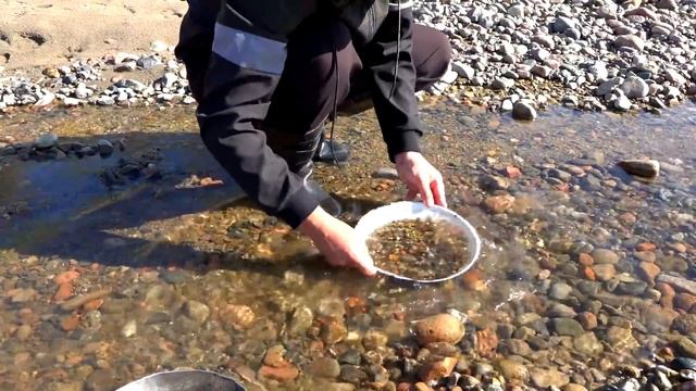 Gold Rush & Gold Record! New Rich Gold Deposit! смотреть онлайн