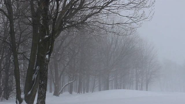 Какой будет зима в 2023 году? Самые верные народные приметы и прогноз синоптиков. смотреть онлайн