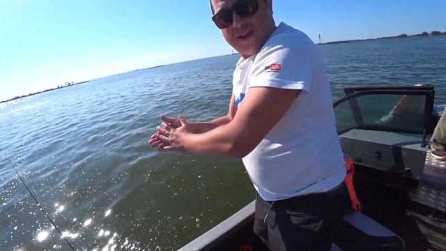 Рыбалка на белом море, что там клюет на джиг???? смотреть онлайн