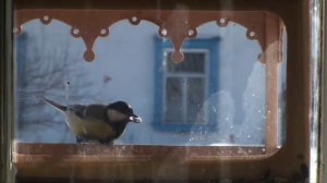 Россия - наша Родина -  Фолк-группа "Талица" (автор слов и музыки Алексей Леоненков)