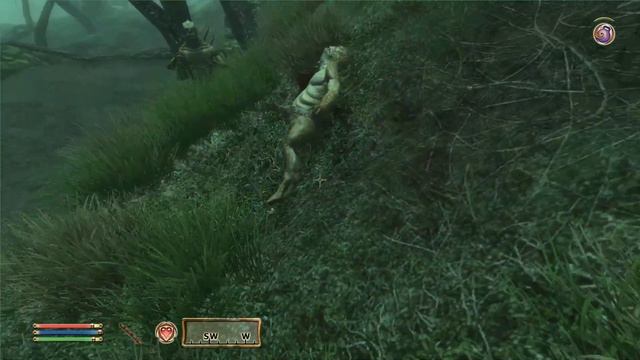 #12 [The Elder Scrolls IV: Oblivion] - Помощь Больной