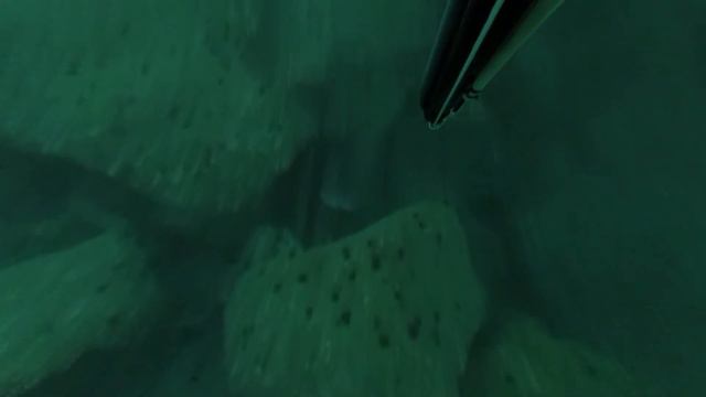 Нашествие спинорогов во Владивостоке. смотреть онлайн