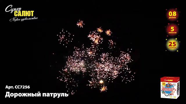 Дорожный патруль смотреть онлайн