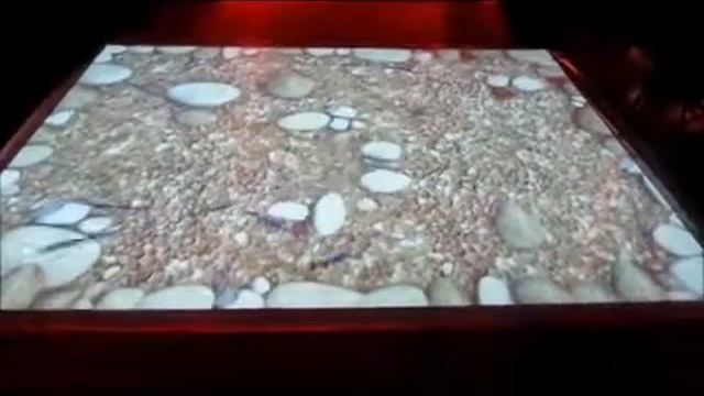 Touch Magic Floor By 360 Media Solutions For Events and Weddings смотреть онлайн