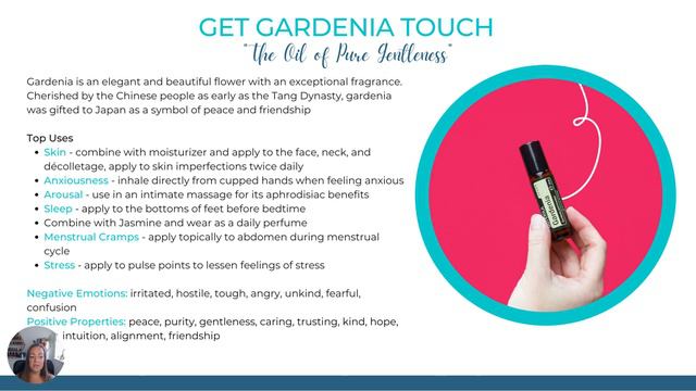 BOGO'S Are Here - July 2023, Europe