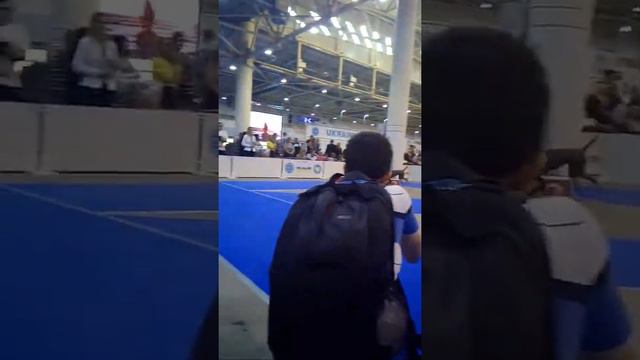 Ринг Веймаранер . Суки юниоры смотреть онлайн