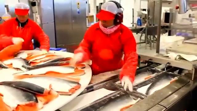 Рыбный завод Норвегия. «Cargill Norway ». смотреть онлайн