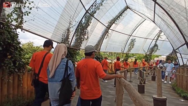 3 Wisata Populer di Semarang || #elingbening #dusunsemilir #cimory смотреть онлайн