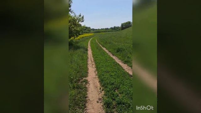 29.05.23.День в деревне.Животные. смотреть онлайн