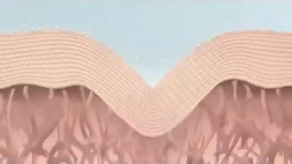 Презентация ARTISTRY