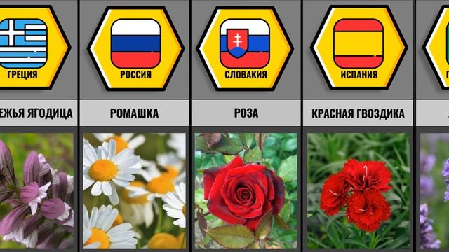 Цветы-Символы Разных Стран смотреть онлайн