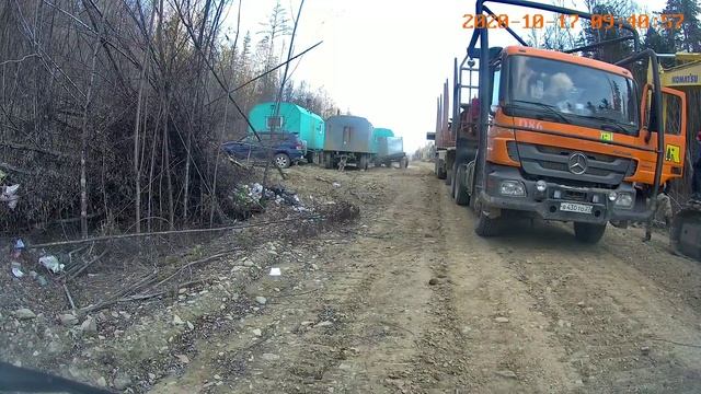 Как делают мосты в тайге?видели кабаргу! смотреть онлайн