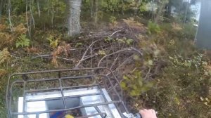 Квадроцикл из мотоблока.  Тест-драйв по лесу.