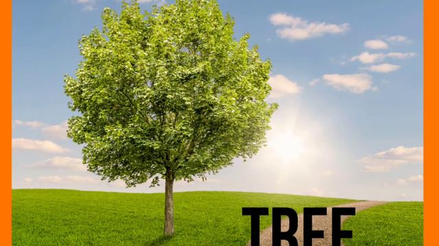 Спотлайт 2 класс упражнение 1 страница 10 Spotlight 2 Ex. 1 P. 10