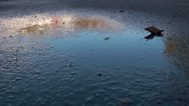 Please Let Go av Sara Eline Henriksen Hobbelstad.mov смотреть онлайн