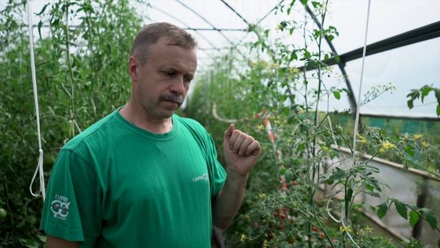 Монисто не только у Солохи