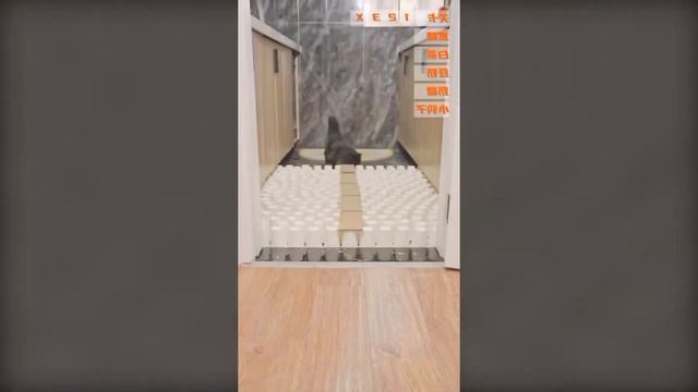 67877942 R смотреть онлайн