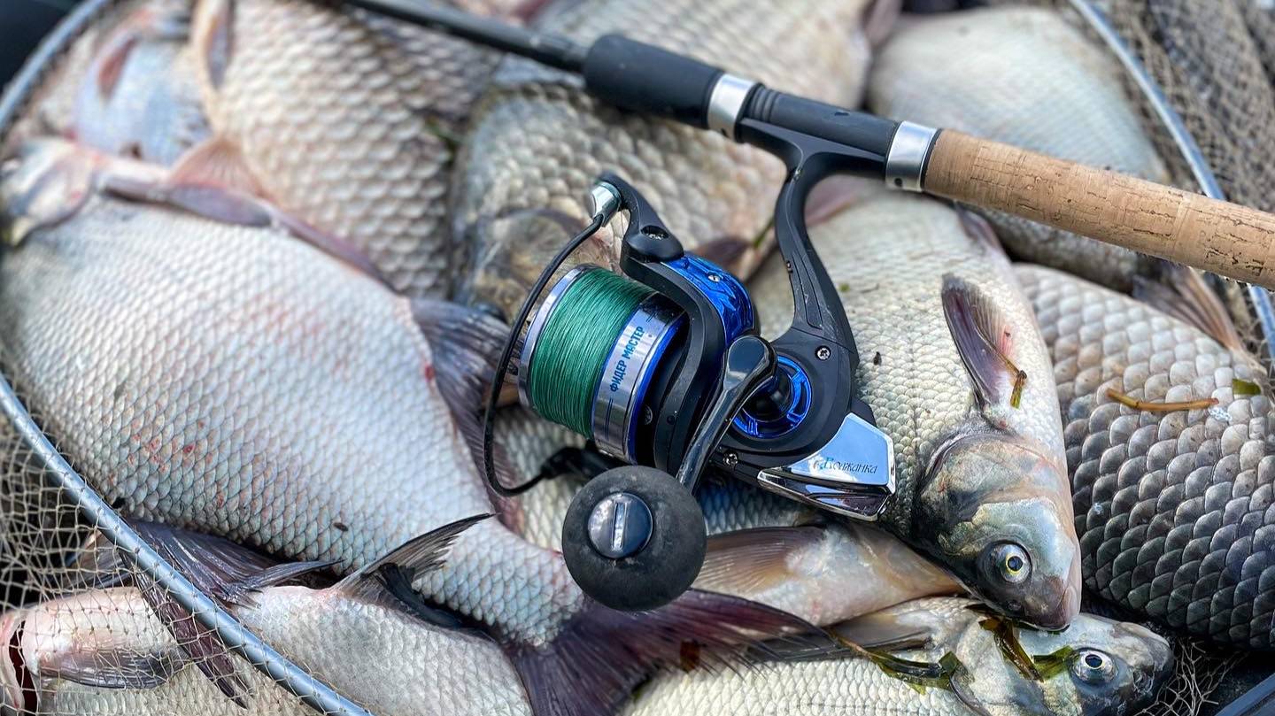 Катушка Волжанка Фидер Мастер (разбор, обзор, ответы на популярные вопросы) смотреть онлайн