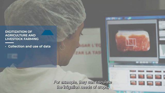 Food industry смотреть онлайн